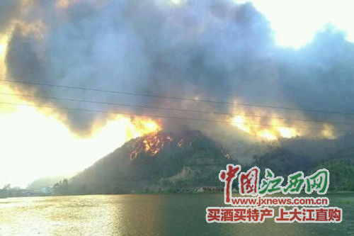 10月11日13時許,南康區(qū)龍華鄉(xiāng)羅邊組發(fā)生山火(圖片為網絡截圖) 10月11日13時許,南康區(qū)龍華鄉(xiāng)羅邊組發(fā)生山火(圖片為網絡截圖)